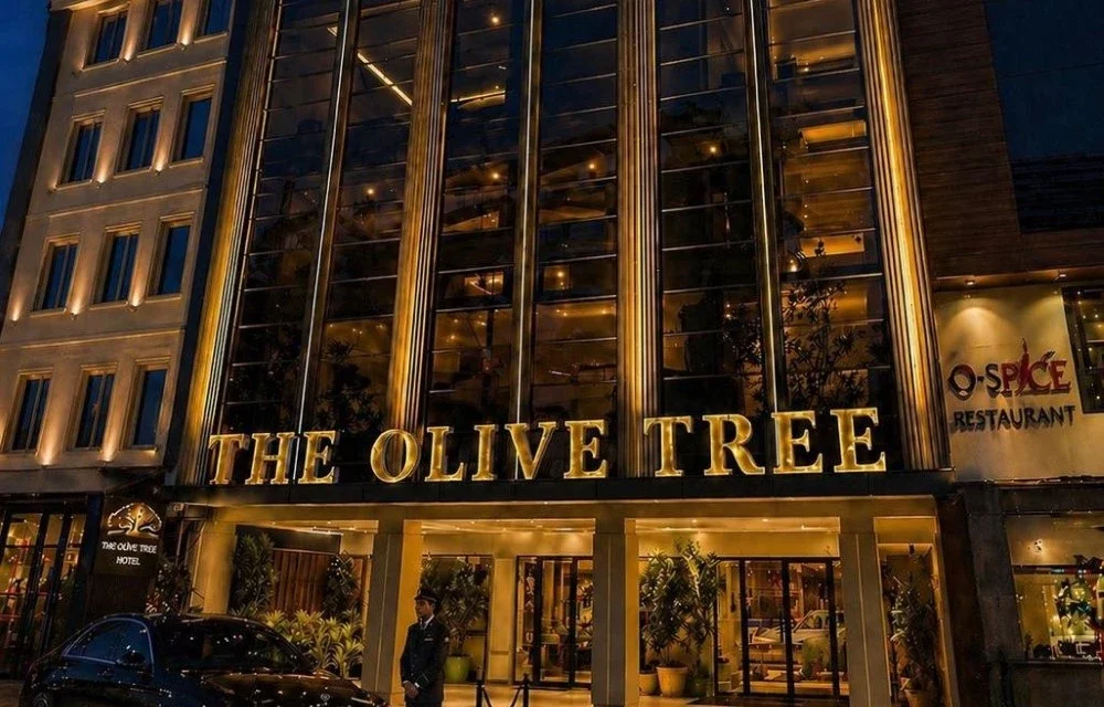 Image of Blog at The Olive Tree