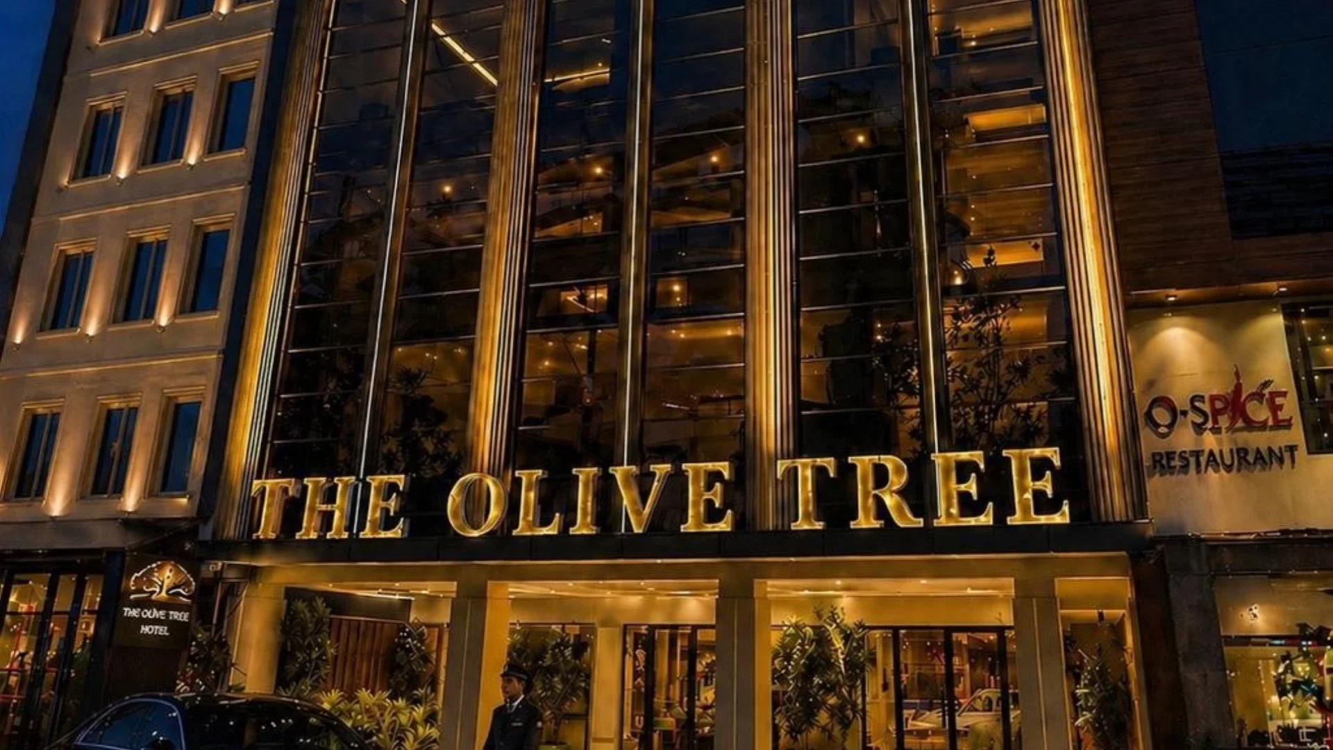 The Olive Tree Main Image